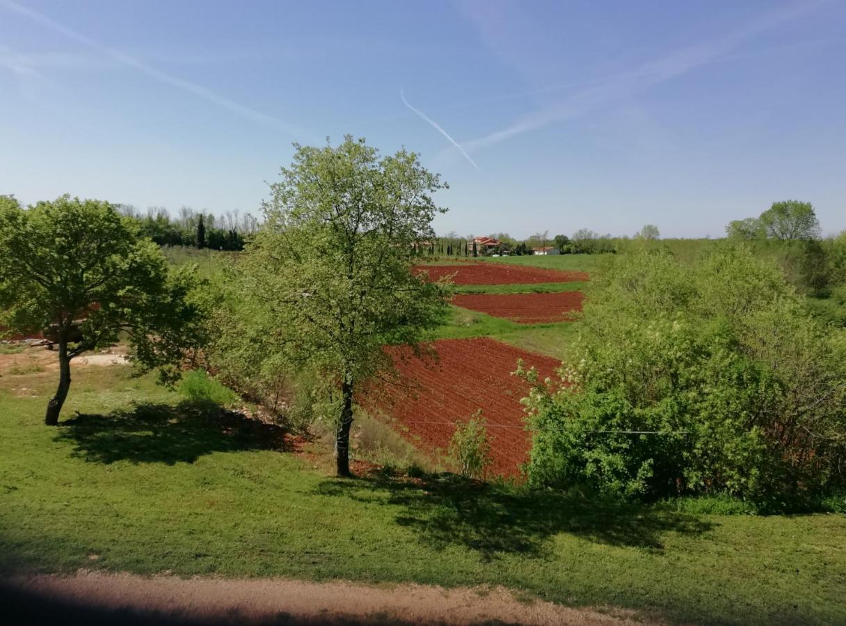 Apartman Nikola Ladrovici Luaran gambar